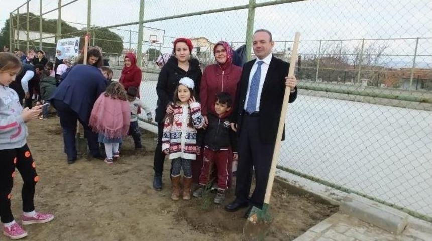 Burhaniyeli &Ouml;ğrencilerin Dikili Ağacı Oldu