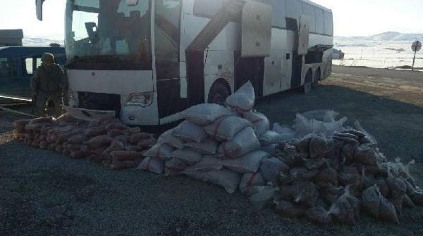 Yurda Ka&ccedil;ak Sokulan Kayısı Ve Fındık Ele Ge&ccedil;irildi