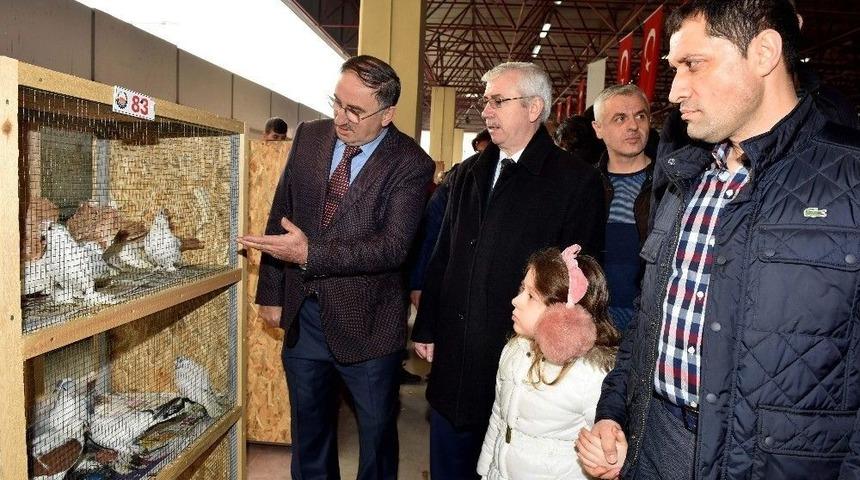 Bursa&rsquo;da 2 Bin G&uuml;vencin En G&uuml;zel Se&ccedil;ilebilmek İ&ccedil;in Yarıştı