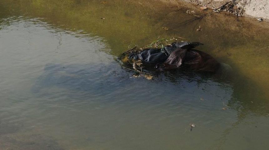 Odun Toplarken Sulama Kanalına D&uuml;şen Yaşlı Adam Hayatını Kaybetti