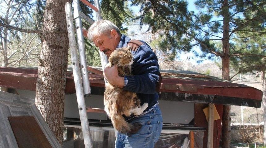 Tokat&rsquo;ta Vatandaşın Kedi Kurtarma Operasyonu