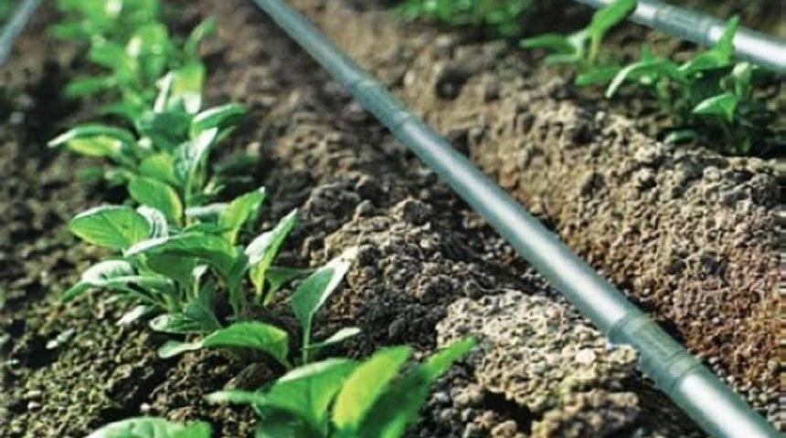 Erzincan&rsquo;da 56 &Ccedil;ift&ccedil;i Hibe Almaya Hak Kazandı