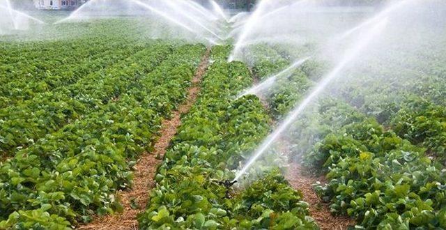 Erzincan’da 56 Çiftçi Hibe Almaya Hak Kazandı