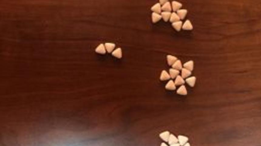 Erzurum&rsquo;da Uyuşturucu Taciri 2 Kişi 53 Adet Ecstasy Hap İle Yakalandı