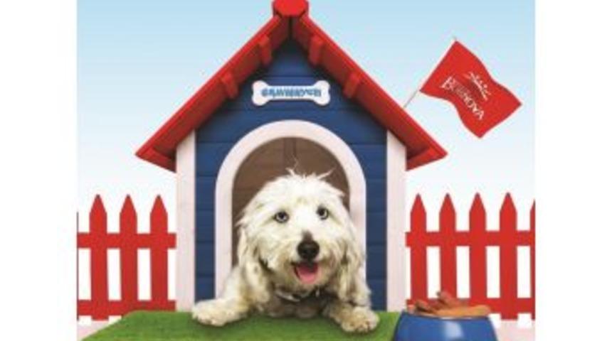 O Alışveriş Merkezinde K&ouml;peklere &Ouml;zel Alan