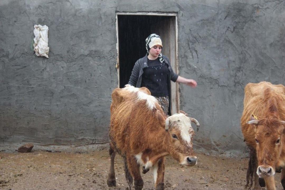 Tarlada &Ccedil;alışıp, Hayvan Otlatarak Roman Yazdı