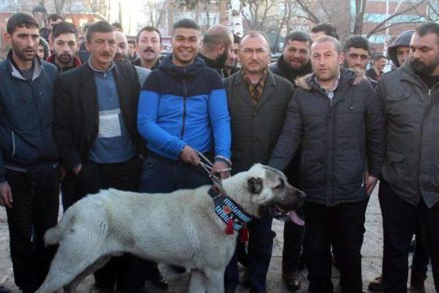 Ardahan'da Hollanda’Ya Çoban Köpekli Protesto
