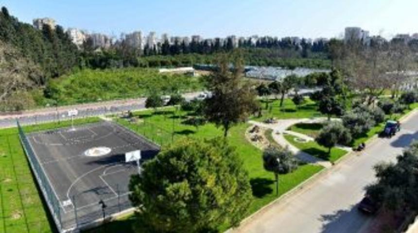 Antalya&rsquo;da En G&uuml;zel Ağa&ccedil; Se&ccedil;iliyor