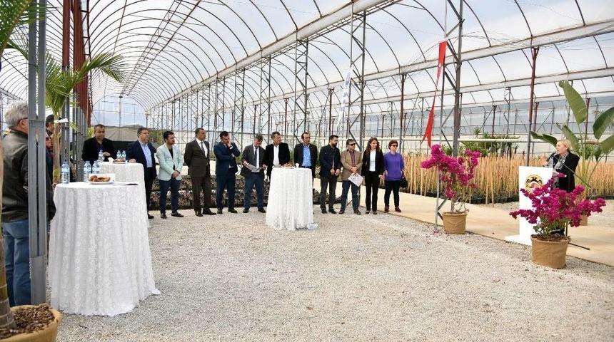 Alanya&rsquo;da Su Kabağı Projesi İ&ccedil;in İlk Tohumlar Atıldı