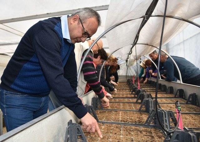 Alanya’da Su Kabağı Projesi İçin İlk Tohumlar Atıldı