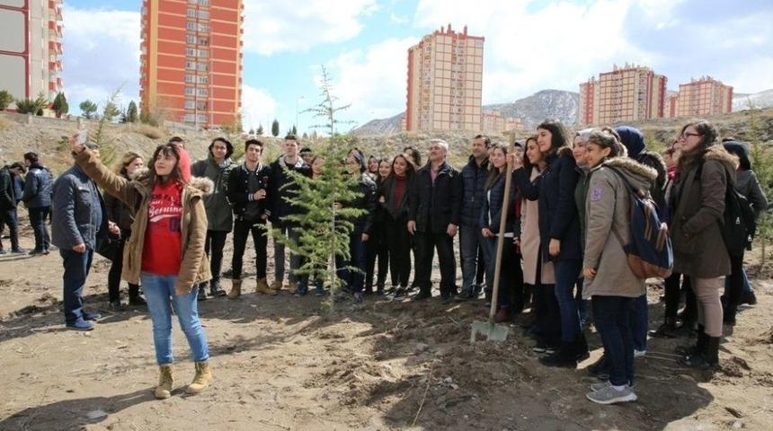 Tınaztepe Mahallesi Yeşile B&uuml;r&uuml;n&uuml;yor