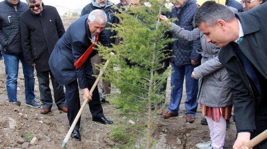 Orman Haftası&rsquo;nda 12 Bin Fidan Dikildi