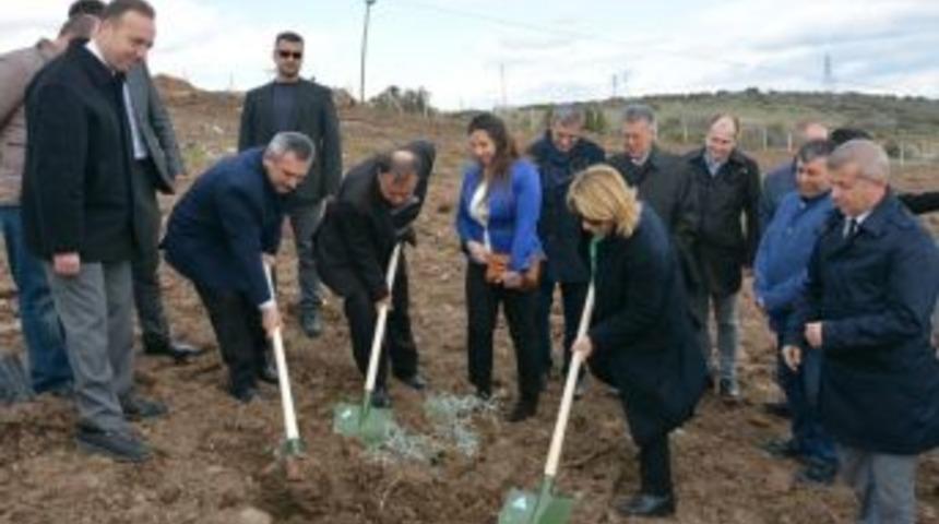 Ezine Myo&rsquo;dan 25. Yıl Hatıra Ormanı