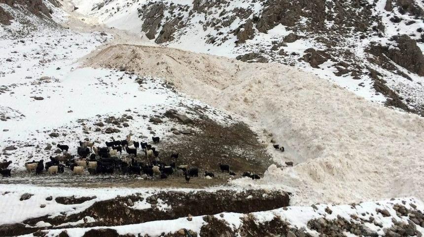 Van-&ccedil;atak Yoluna D&uuml;şen &Ccedil;ığ Temizleniyor