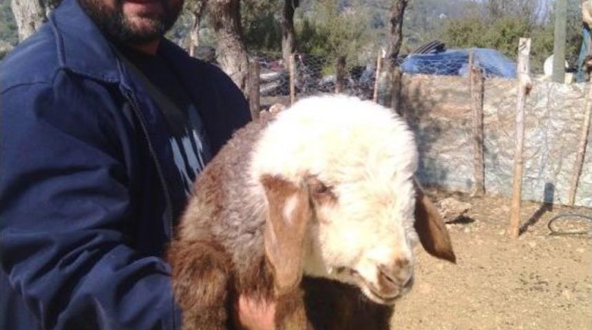 Eski H&uuml;k&uuml;ml&uuml;, Cumhuriyet Başsavcılığı&rsquo;nın Desteğiyle Hayata Yeniden Tutundu