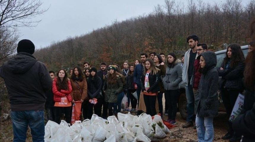 Biga Gen&ccedil; Tema Topluluğu Fidan Dikti
