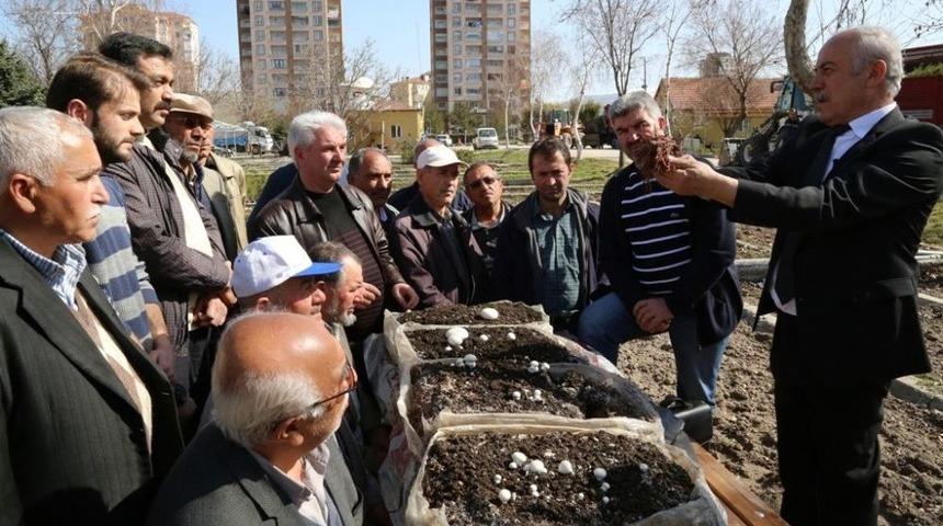 Melikgazi&rsquo;de K&uuml;lt&uuml;r Mantarı Yetiştiriciliği Kursları Başladı
