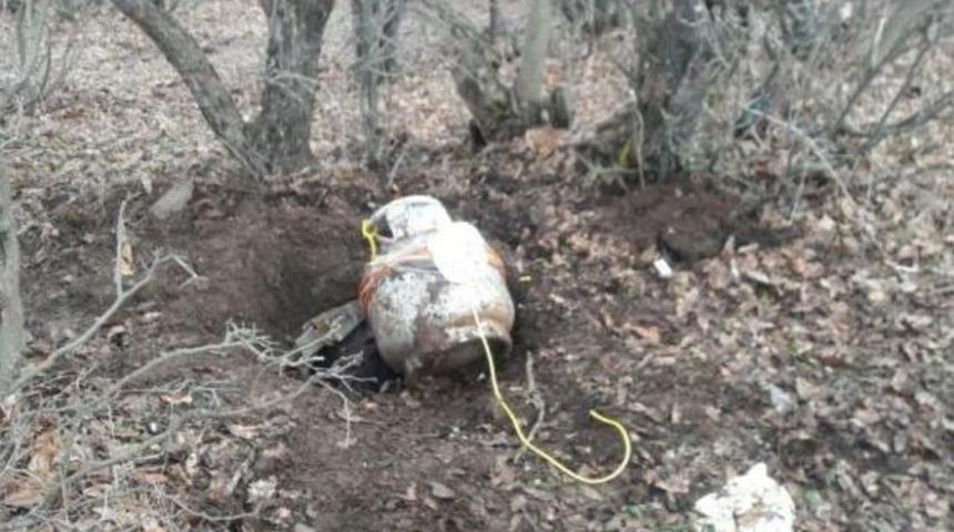 Bitlis&rsquo;te Bir Adet Eyp İmha Edildi