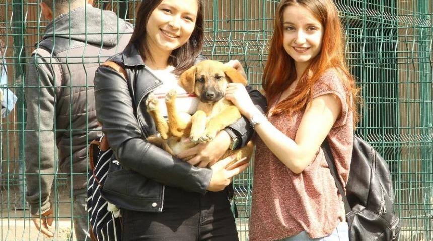 B&uuml;y&uuml;kşehir Gen&ccedil; Meclisi&rsquo;nden &Ouml;rnek Davranış