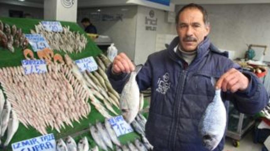 Balık&ccedil;ı Kutay Yılmaz: &ldquo;hamsi Az &Ccedil;ıkınca, İşlerimiz Azaldı&rdquo;