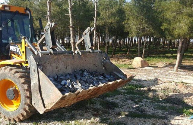 Şanlıurfa’da Kuş Ölümleri Halkı Tedirgin Ediyor