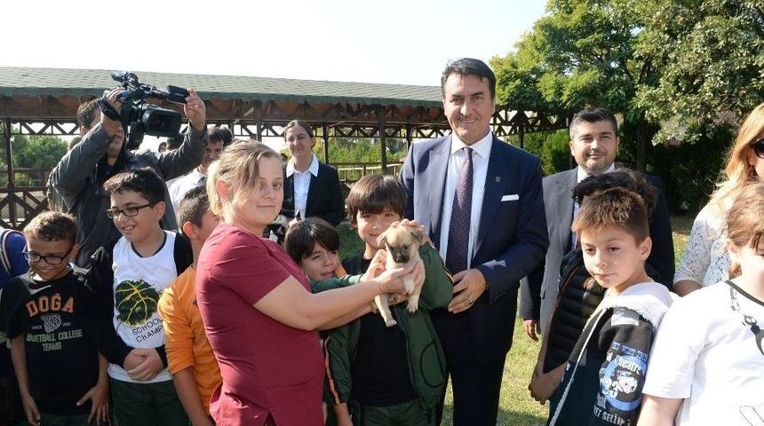 Osmangazi Belediyesi 2 Ayda 926 Hayvana Sahip &Ccedil;ıktı