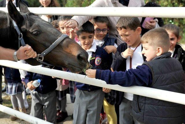 Osmangazi Belediyesi 2 Ayda 926 Hayvana Sahip Çıktı