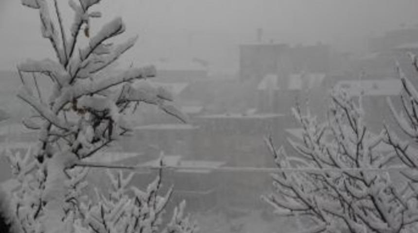 Hakkari&rsquo;de Karla M&uuml;cadele &Ccedil;alışması