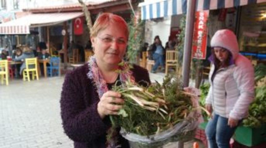 Urla’daki Ot Festivali İçin Hazırlıklar Tamam