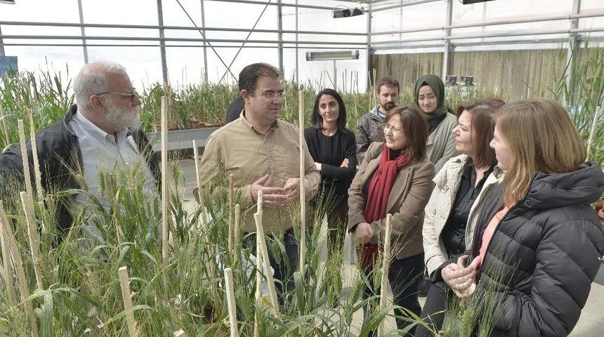 Km&uuml; Biltem&rsquo;e Amerika&rsquo;dan Misafir