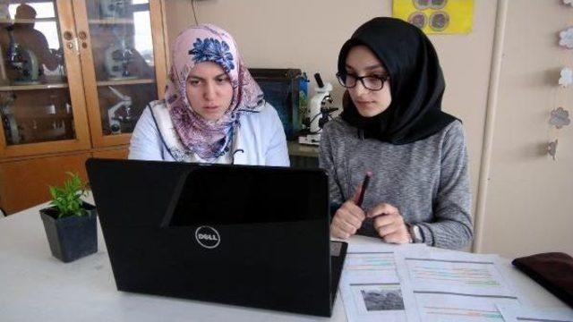 Öğrenci, Bitkileri Donmaya Karşı Koruyan Solüsyon Yaptı