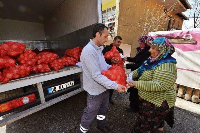 Büyükşehir Belediyesinden Kuru Soğan Yardımı