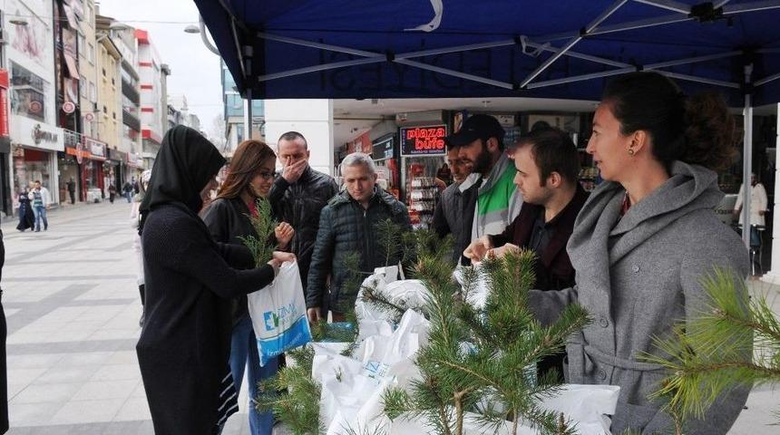 İzmit Belediyesi Vatandaşlara 20 Bin Fidan Dağıtacak