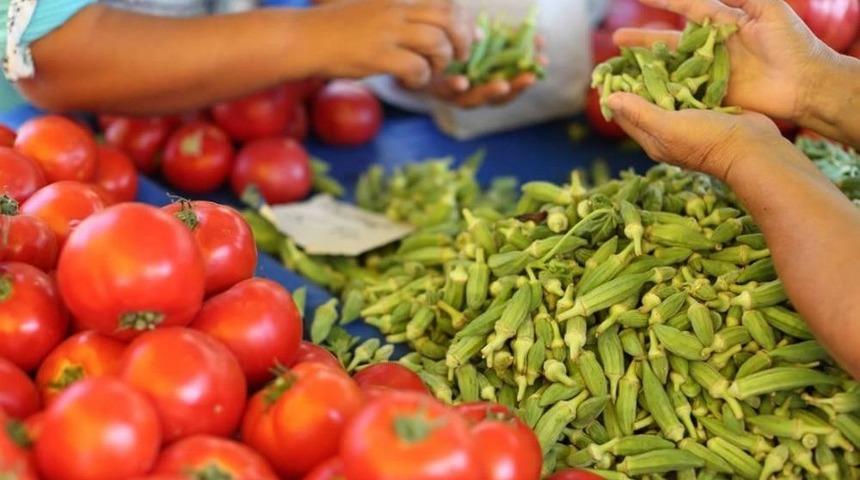 Organik Tarım Destekleri İ&ccedil;in Son 3 G&uuml;n