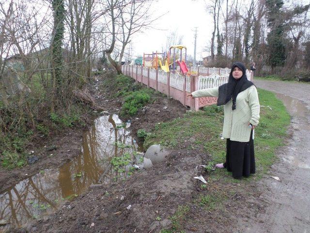 Çocuk Parkı Yanındaki Lağım Kanalı Tehlike Saçıyor