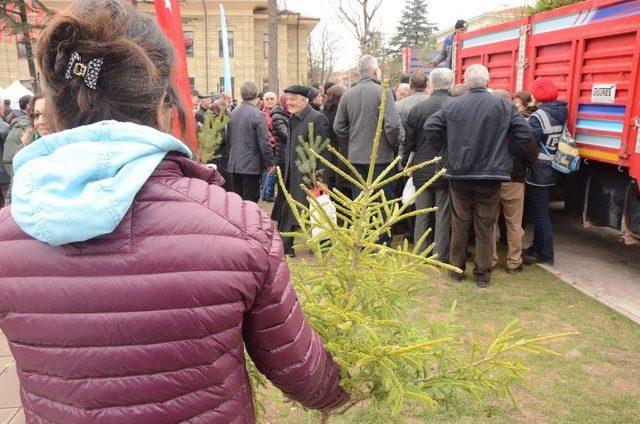 Orman Bölge Müdürlüğü’nden 6 Bin Fidan