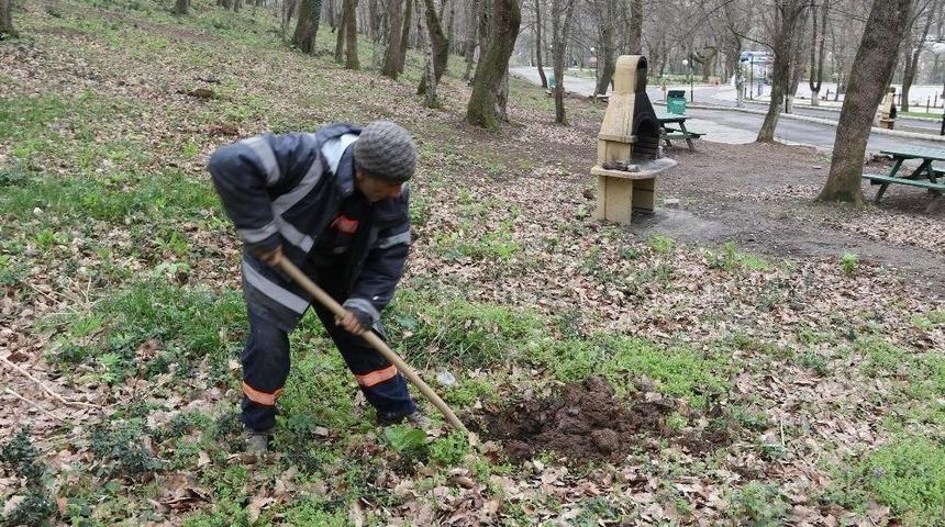 Akyazı Orman Park Meyve Ağa&ccedil;ları İle Donatıldı