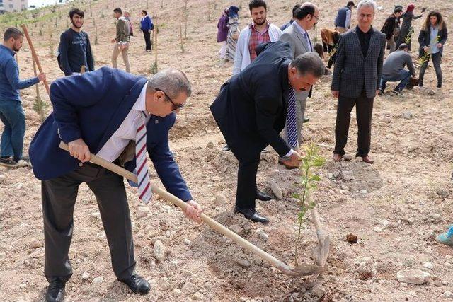 Toros Üniversitesi Öğrencilerinden Toroslar’a Hatıra Ormanı