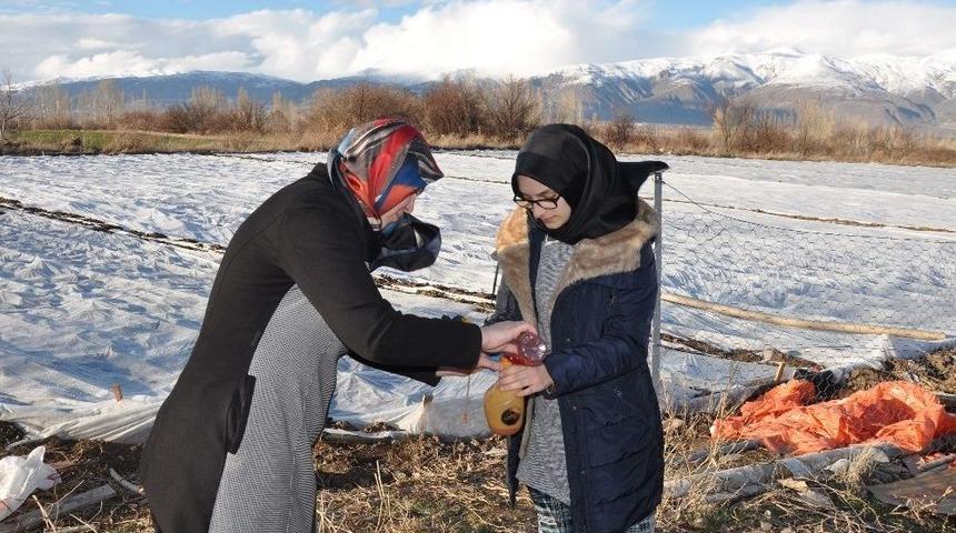 Lise &Ouml;ğrencisi Atık Maddeler İle Tarımsal Bitkilerin Donmamasını Sağlayan Sol&uuml;syon Geliştirdi