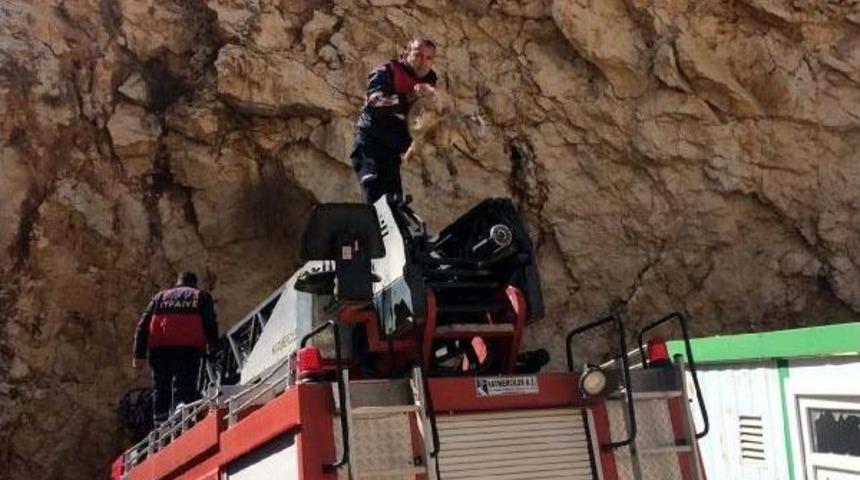 Mahsur Kalan Ke&ccedil;iyi Itfaiye Kurtardı