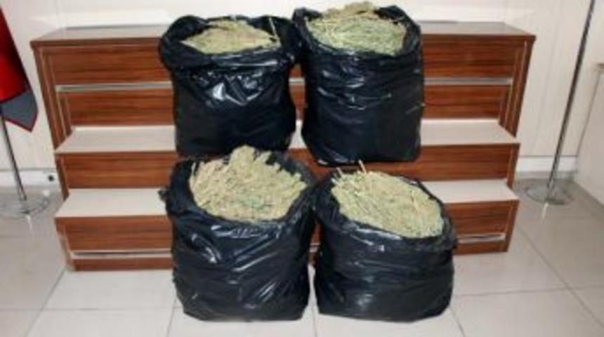 Gaziantep'te 50 Kilo Esrar Ele Ge&ccedil;ti
