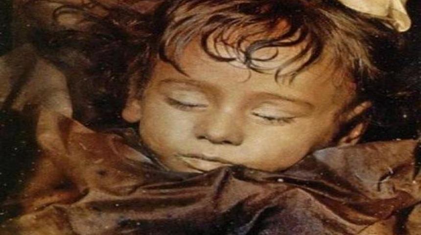 Ceset m&uuml;zesi kan donduruyor