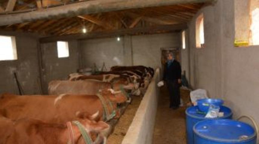 Ordu&rsquo;da 216 Gen&ccedil; &Ccedil;ift&ccedil;i