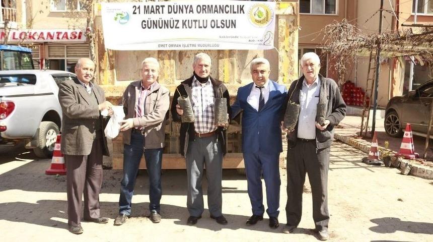 Hisarcık Orman İşletme Şefliği 2 Bin 500 Fidan Dağıttı