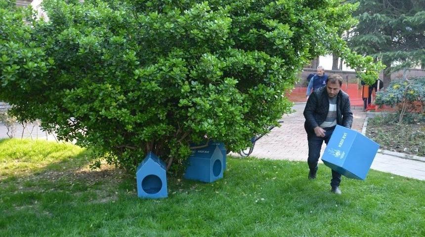 Şehzadeler’den Sokak Hayvanları İçin Yeni Proje