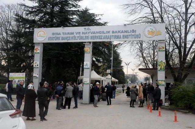 Yalova’Daki Fetö Davasının Görülmesine Başlandı