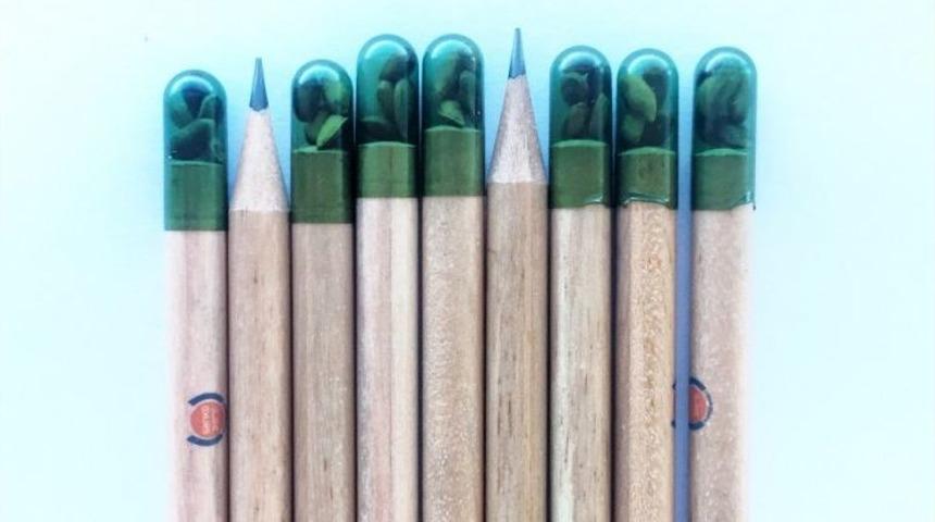 Sanko Park&rsquo;tan Fidan Dağıtımı