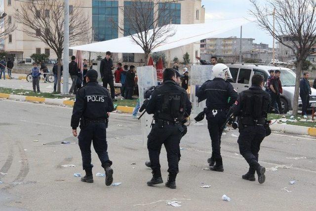 Batman’da Nevruz Bayramı Coşkuyla Kutlandı