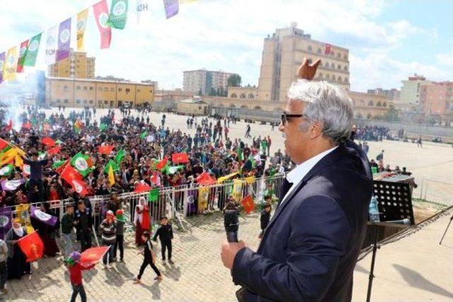 Kızıltepe'deki Nevruz Kutlaması Sonrası Olay Çıktı