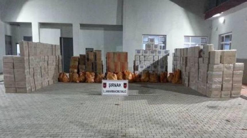 Şırnak'ta 105 Bin 486 Paket Ka&ccedil;ak Sigara Ele Ge&ccedil;irildi